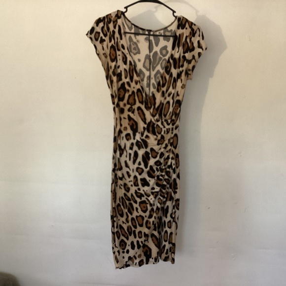 Animal Print Dress - Picture 1 of 4